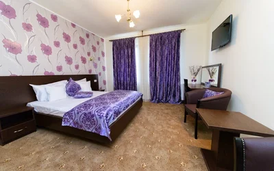 Liste 11 hoteluri din Micălaca Arad