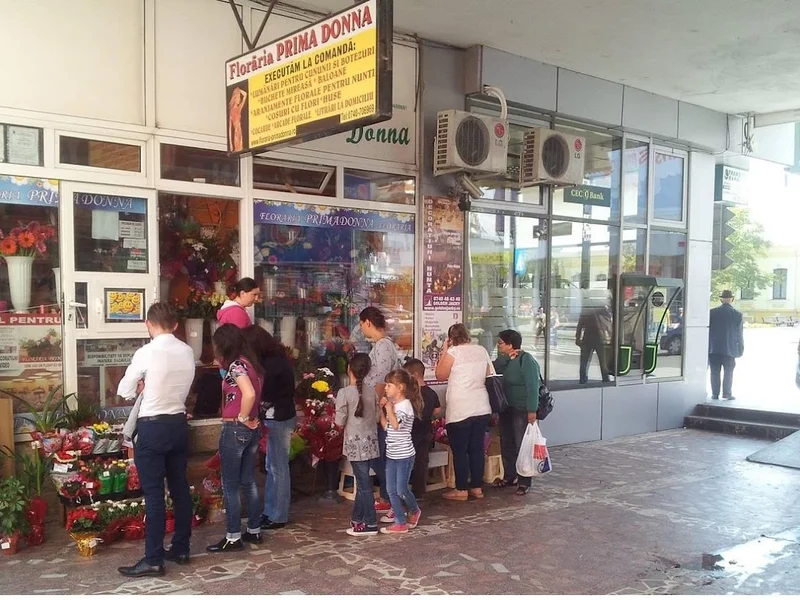 Floraria Prima Donna