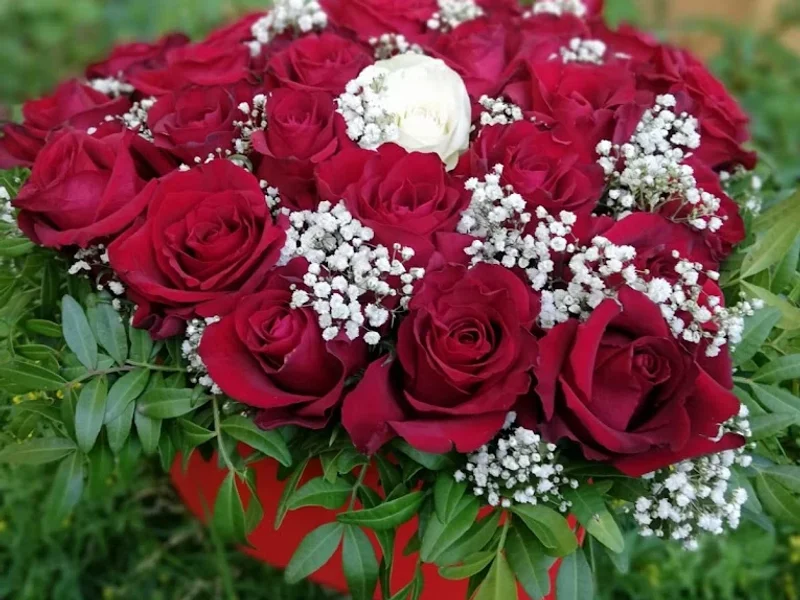 Florăria Flormary Sibiu