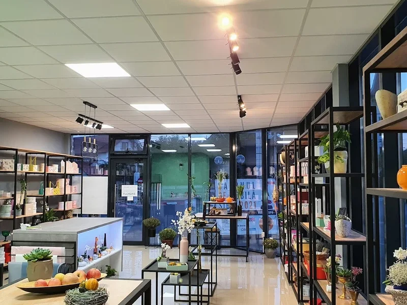 Decorațiuni cu Dichis - Florărie și online în Sibiu