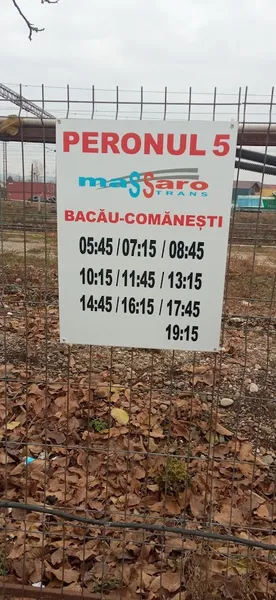 Bronson Iasi (Bacau)