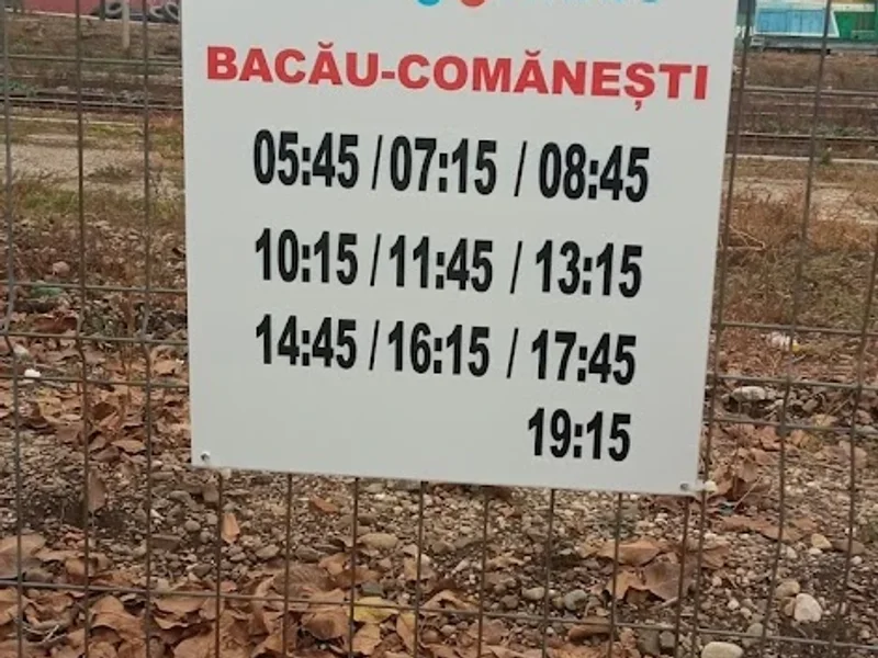 Bronson Iasi (Bacau)