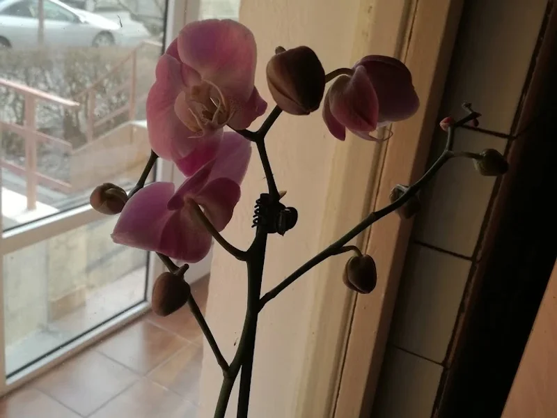 Casa De Expediții Si Logistică