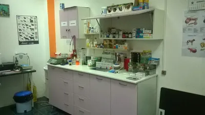 Liste 22 veterinari din Bacău