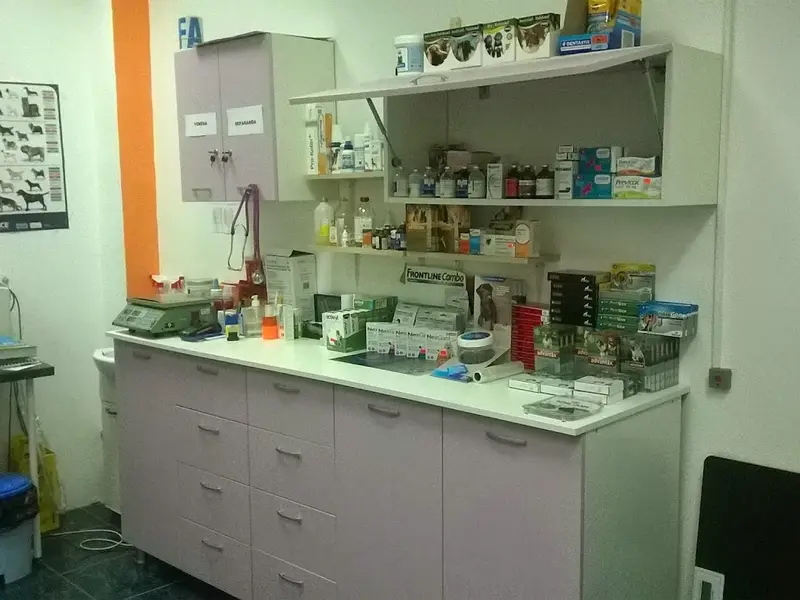 Cabinet Veterinar Doctor Dumitrescu, Saves Vet