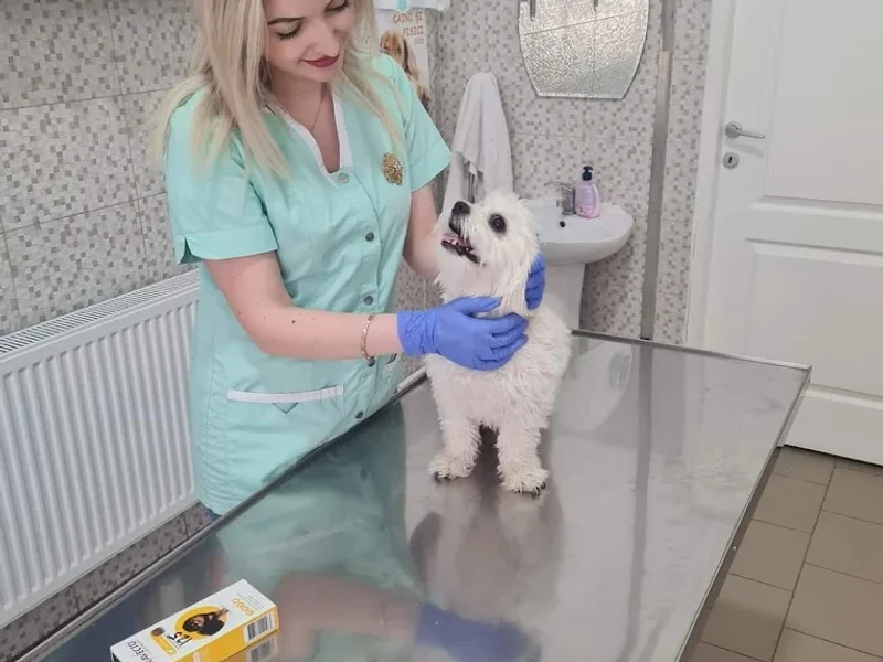 OLIVER-VET