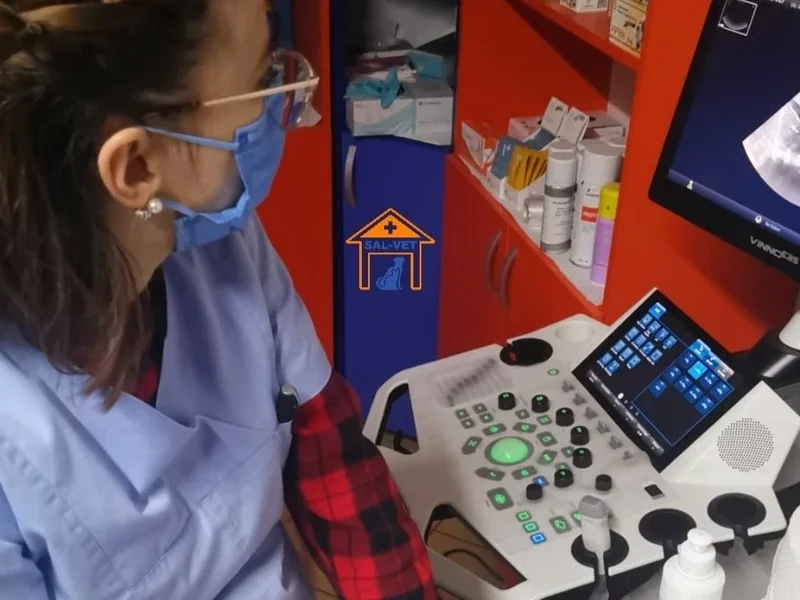 SAL-VET SERVICII VETERINARE