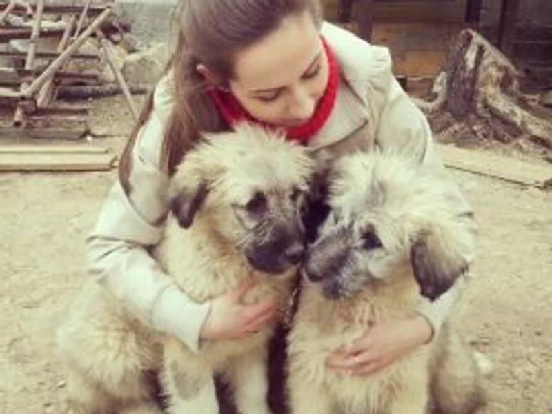 Clinica Veterinară Dr. Coldea & Dr. Bunea