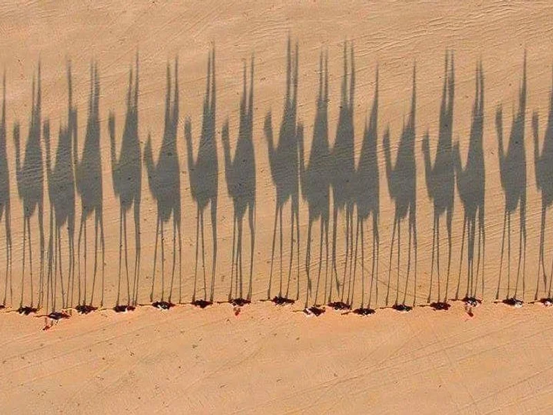 Agentia Buticul de Călătorii