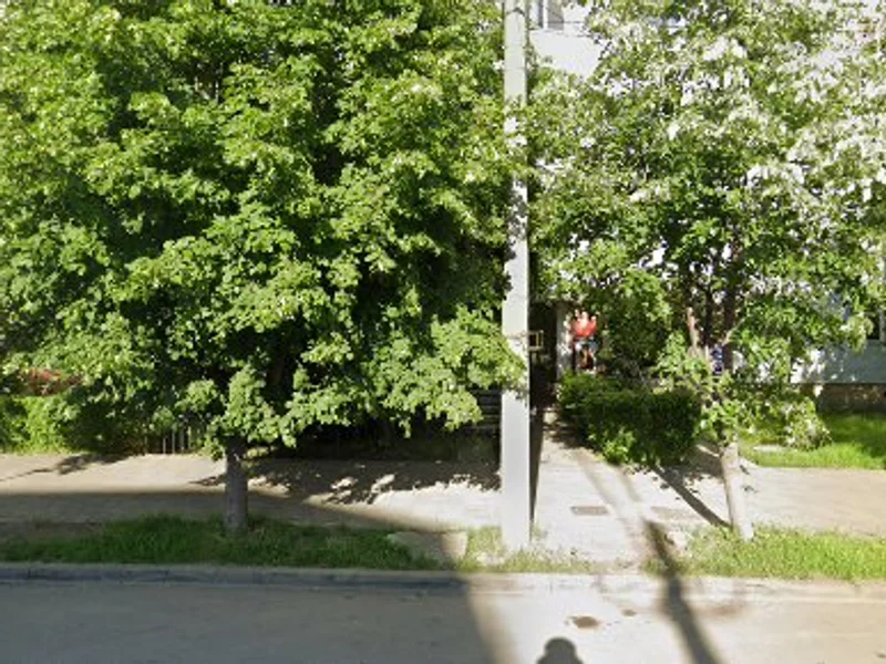 Nunta la cort Bacau Vitraj