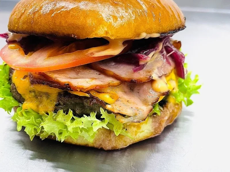 Hot Chicken & Burger SIBIU - Street Food - Food Truck