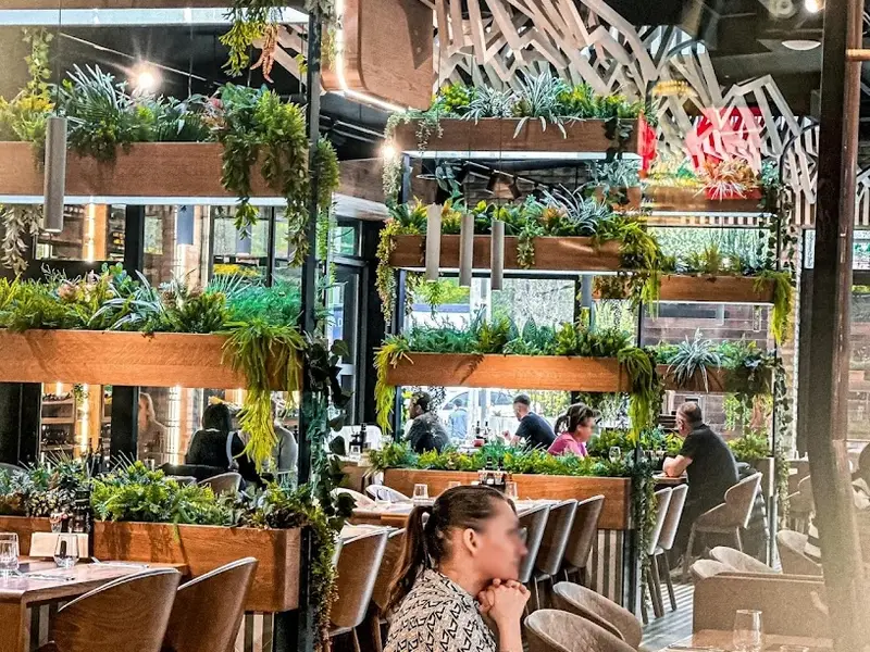 Jacob Grillhouse Sibiu