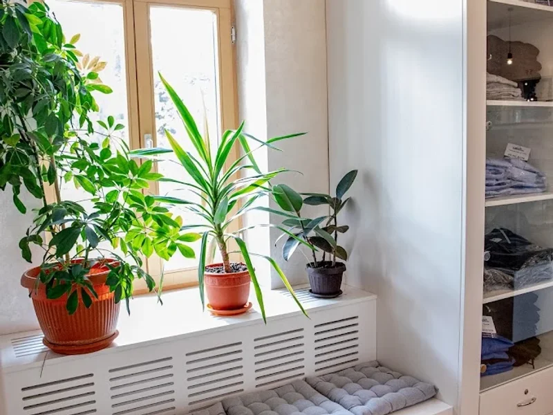 Librăria Universității de Medicină, Farmacie, Științe și Tehnologie