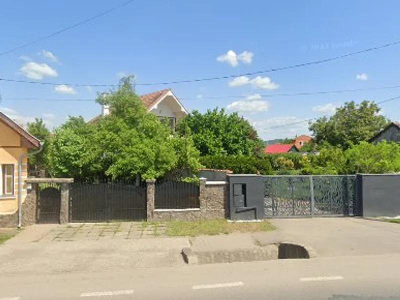 Florăria - Pavel Corina