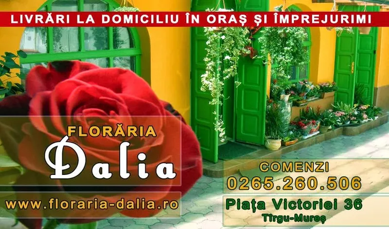 Floraria Dalia