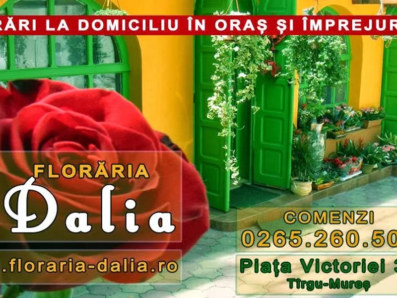 Floraria Dalia