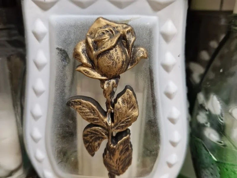 Protea