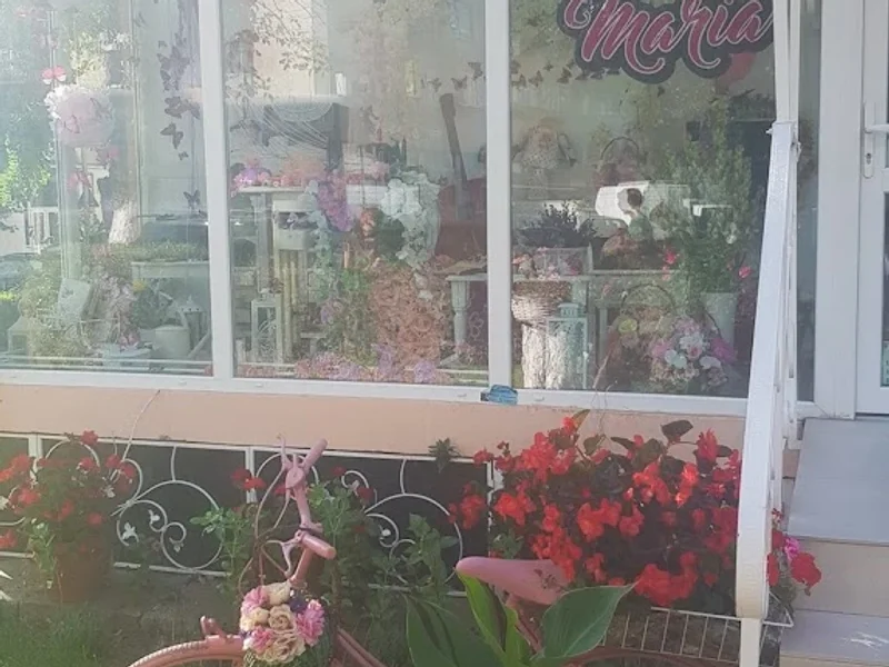 Florăria Maria