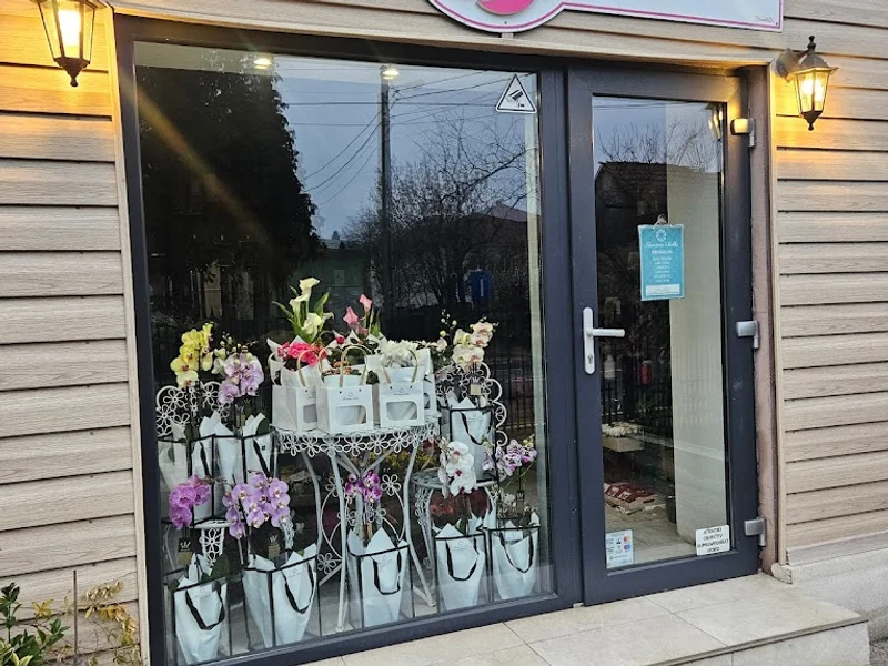 Floraria Bella