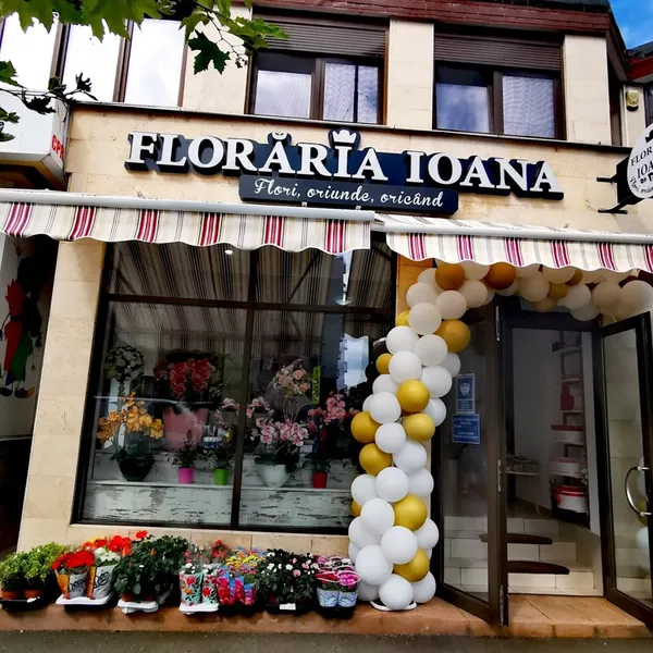 Floraria Ioana Baia Mare