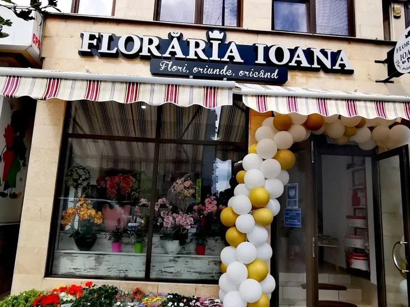 Floraria Ioana Baia Mare