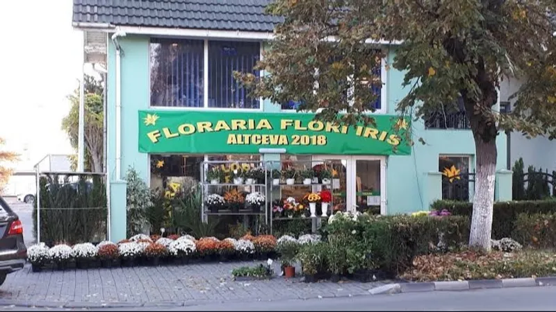 Floraria Flori Iris