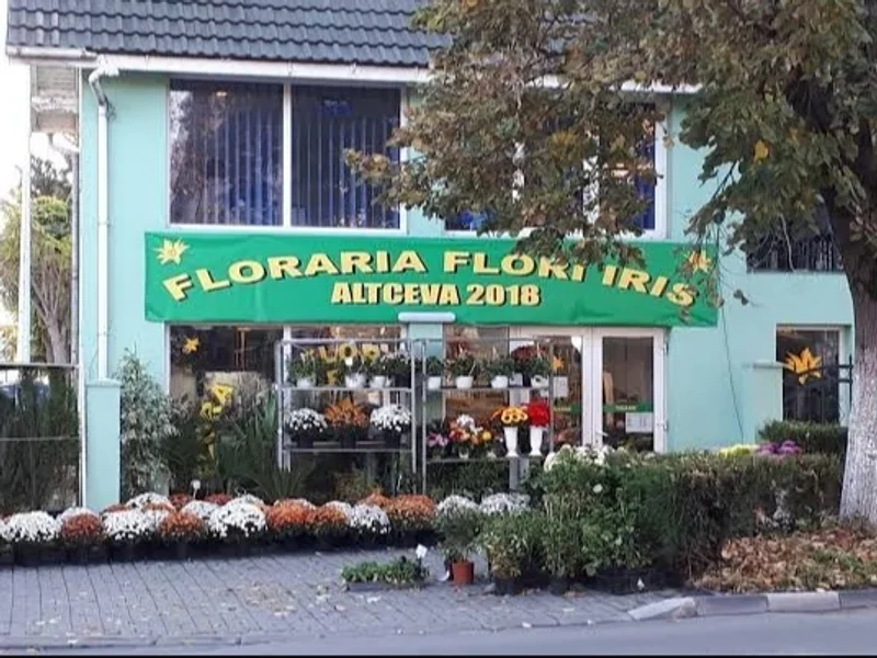 Floraria Flori Iris