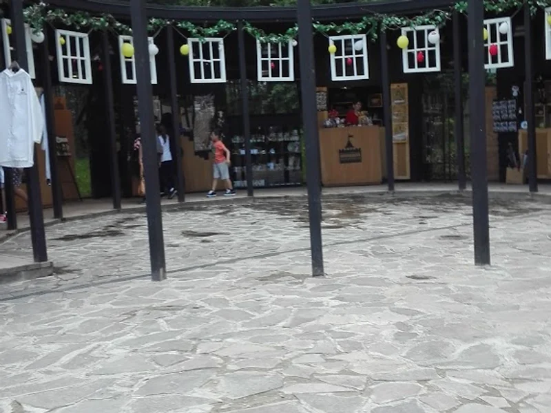 ELECTROVÂLCEA S.R.L.