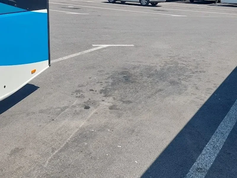 Transport Local SA