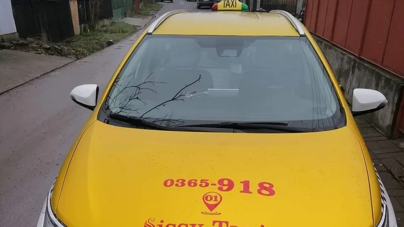 Sissy Taxi Târgu Mureș