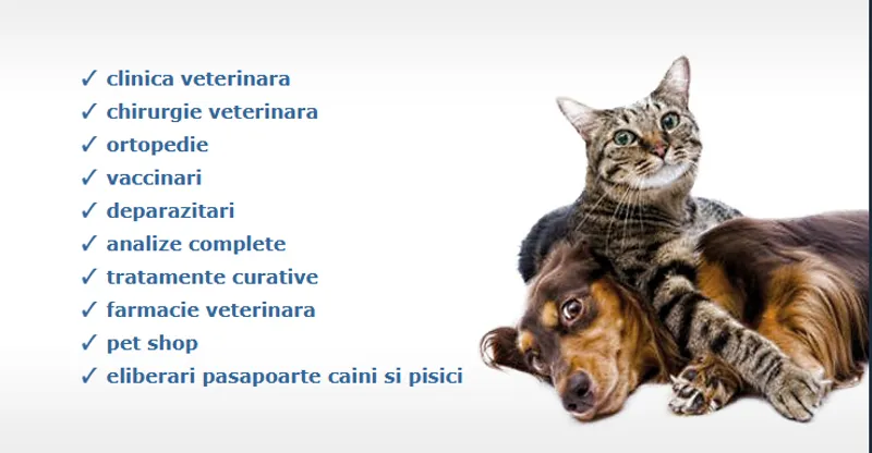 CLINICA VETERINARĂ Dr. Măhălean Dinu