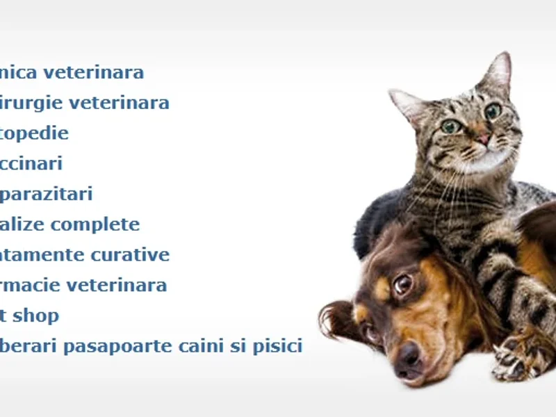 CLINICA VETERINARĂ Dr. Măhălean Dinu