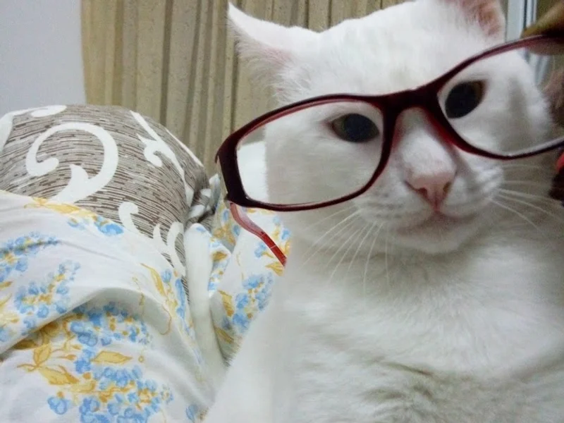 Cabinet veterinar Cosmin Zamfir