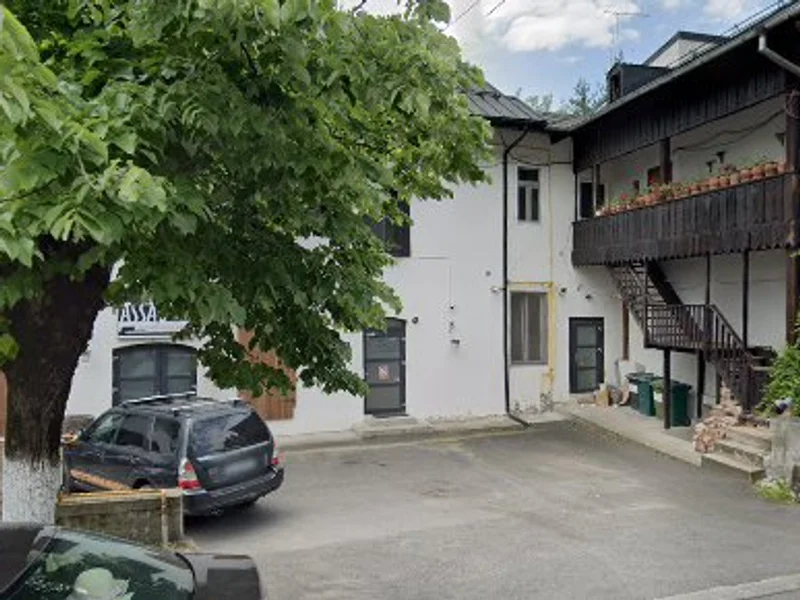 C.M.V.I. OLARESCU CONSTANTIN