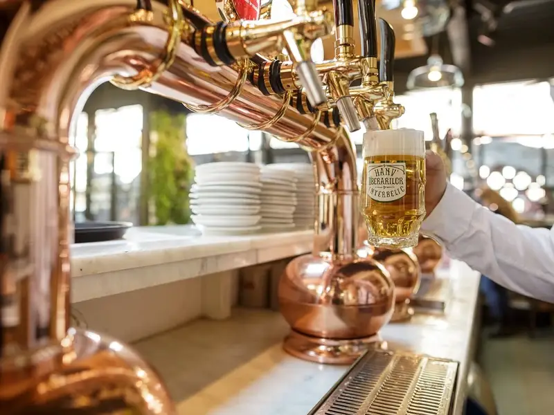 Hanu' Berarilor Casa Oprea Soare