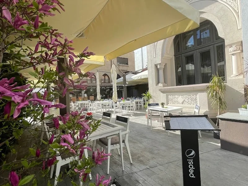 Aubergine Aviatorilor