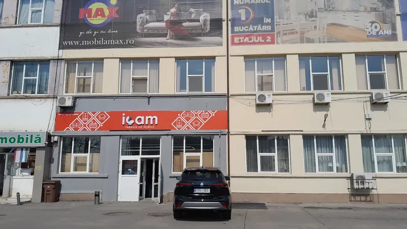 Fabrica de mobilă ICAM București (Danielli Design)