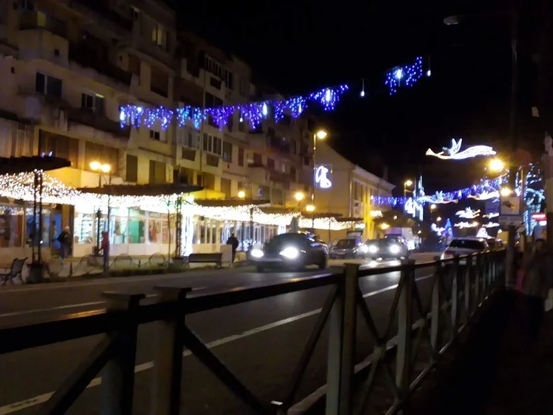 ELIT Romania p.a.o. - Filiala Oradea