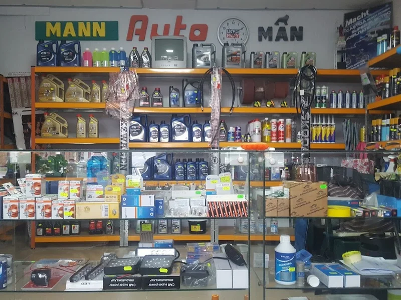 PIESE AUTO-AUTOZONNE NR.47