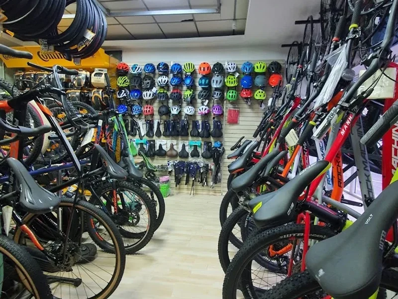 Moș Ion Roată - Bike and Ski Center