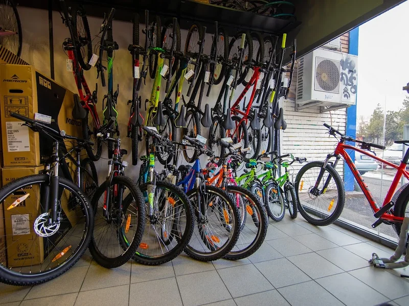 Bike Geek 1 - Oltenitei