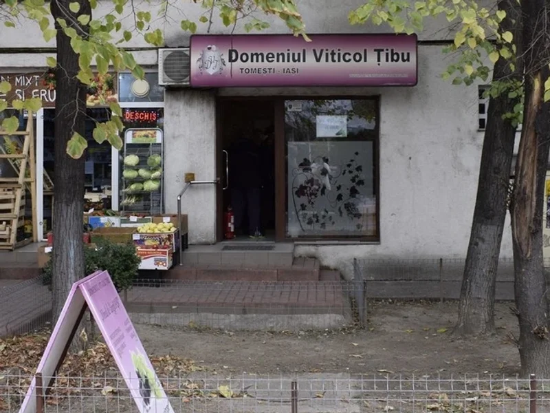 Țibu - Casa de Vinuri