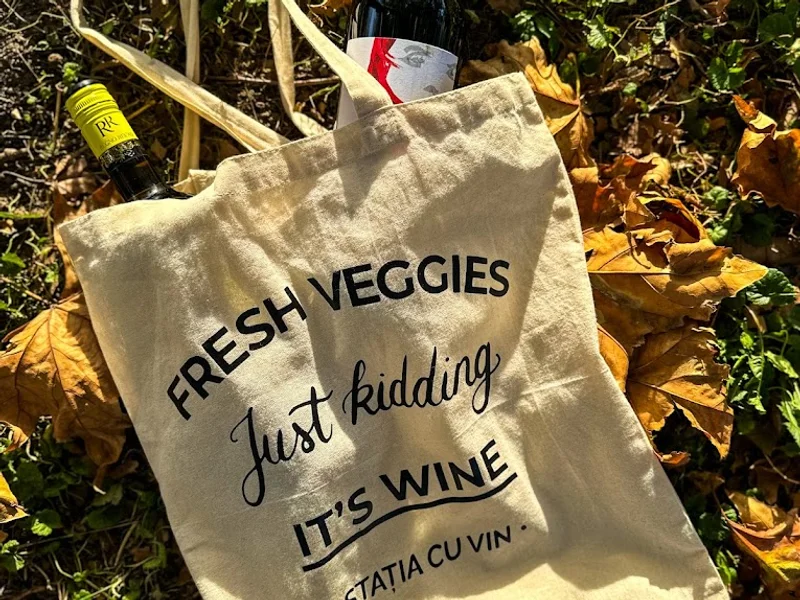 Stația cu Vin/Cramele Recaş