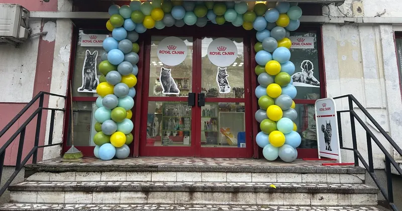 Pet Shop Codiţe