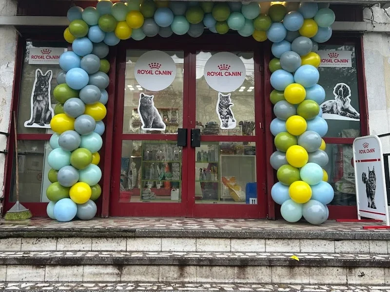Pet Shop Codiţe