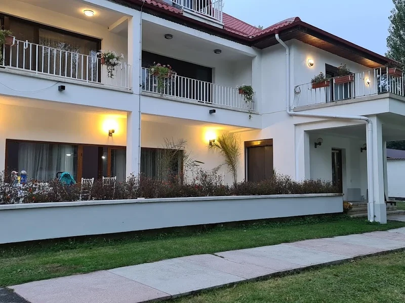 Camin de batrani MILLENNIUM