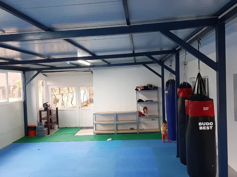Kickboxing TAI SHIN DO GYM