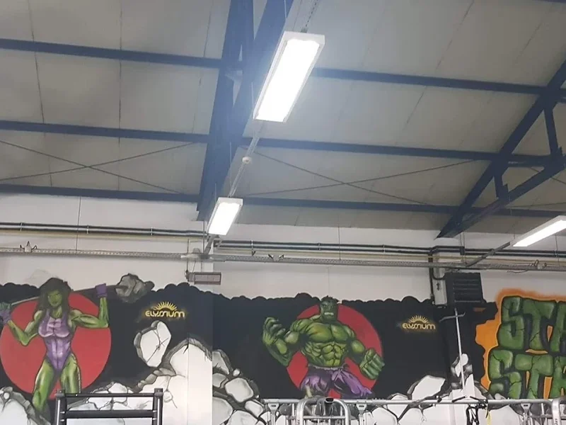 Elyssium Gym Pitesti