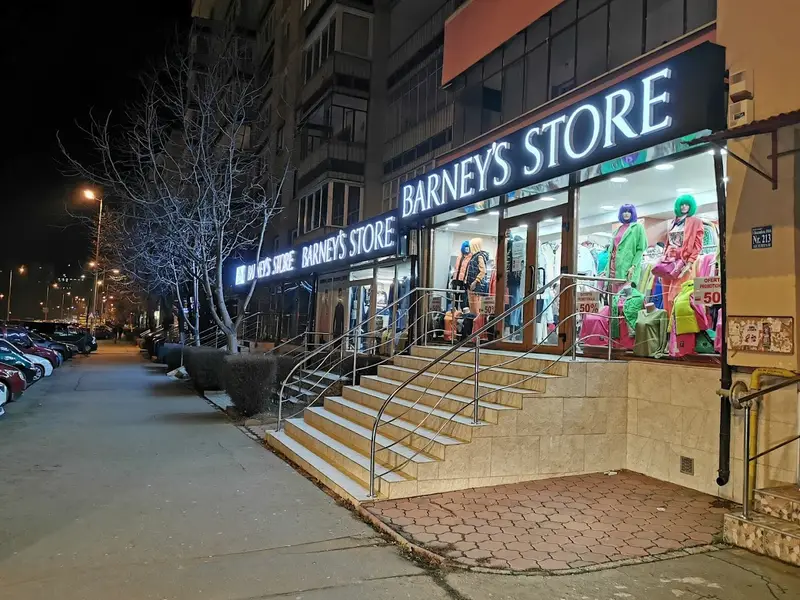 Magazinul Barney'S Store