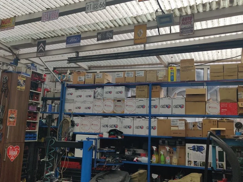 Magazinul Galben DFL22